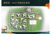 规划图